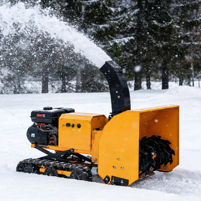 Industrial Four-Stroke Brushless Motor Stainless Steel Dual-Speed Mini Remote-Controlled Snow Blower