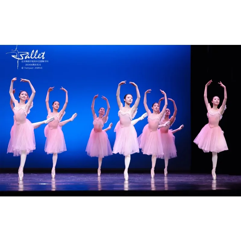 Ballet performance costume - adult professional dance dress competition - dance chiffon skirt - light blue long dress
