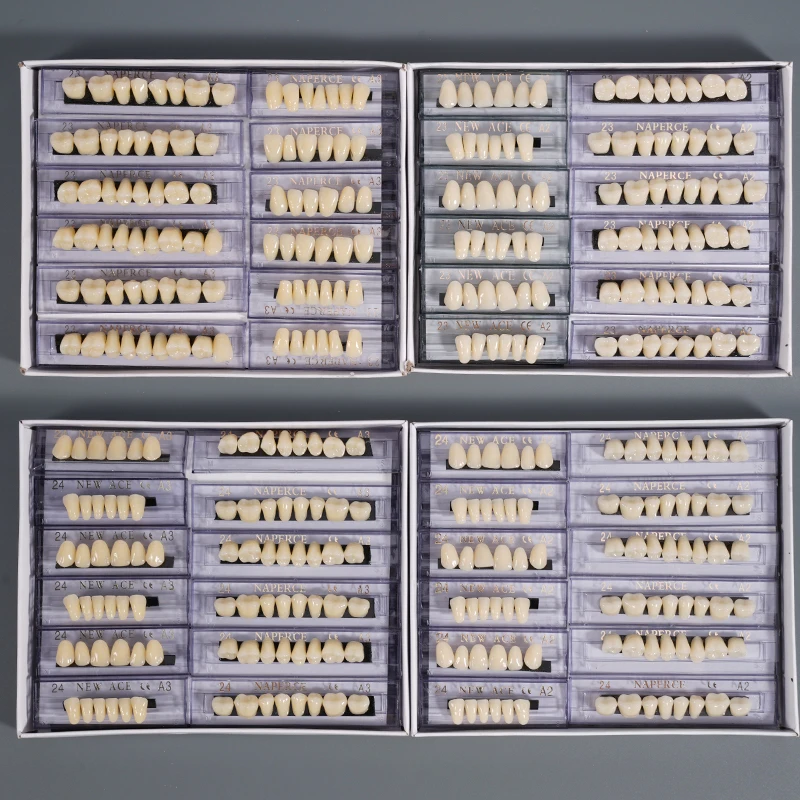 168Pcs Dental Acrylic Synthetic Teeth Full Mouth Upper Anterior Lower Posterior Fake Tooth Model Denture for Teaching Practice