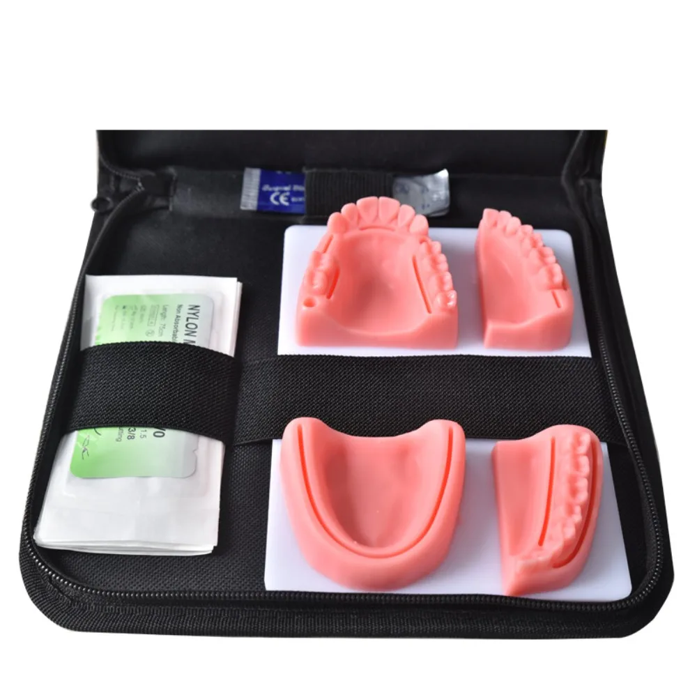 Рисунок 2 - Профессиональная практика обучения