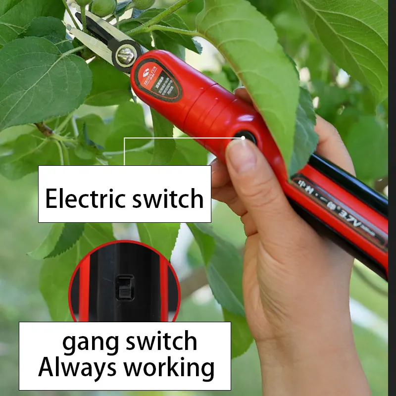 Horticultural fruit branches straight headed sparse fruit picking scissors, strong manual thinning flower garden tender bud cutt