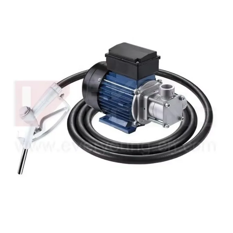 

CE Certified Transfer Pump Customizable Cable Industrial Chemical Pump for Oil Transfer Marine Metering Vacuums
