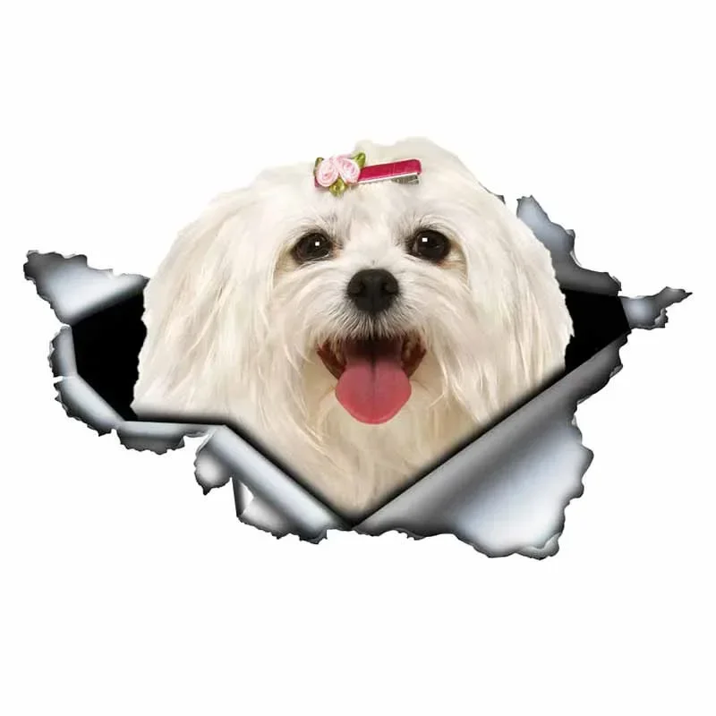 Lovely Maltese Pet Dog Car Sticker Decoration Waterproof Window Boot Decal Motorcycle Cover Scratch PVC Decals