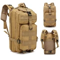 25L Tan