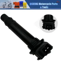 1 Bobina de Encendido para Motocicleta CFMOTO 400NK 400GT 650NK 650TR 650MT CF 400 NK, Repuesto de Sistemas de Encendido 0700-178000-1