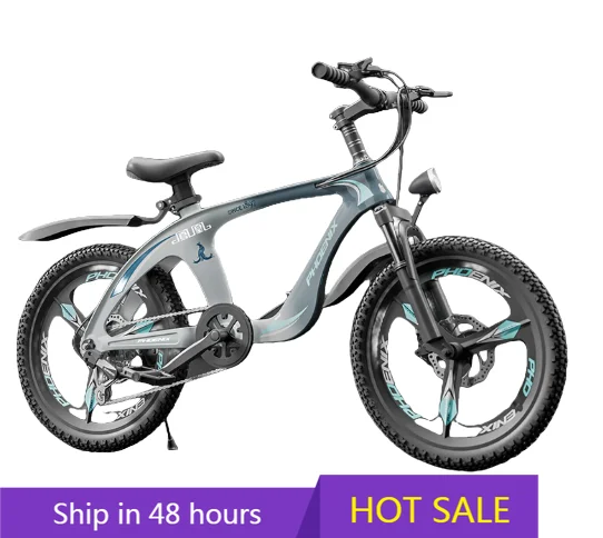 

POWER LEAP Children's Bicycle NO.6