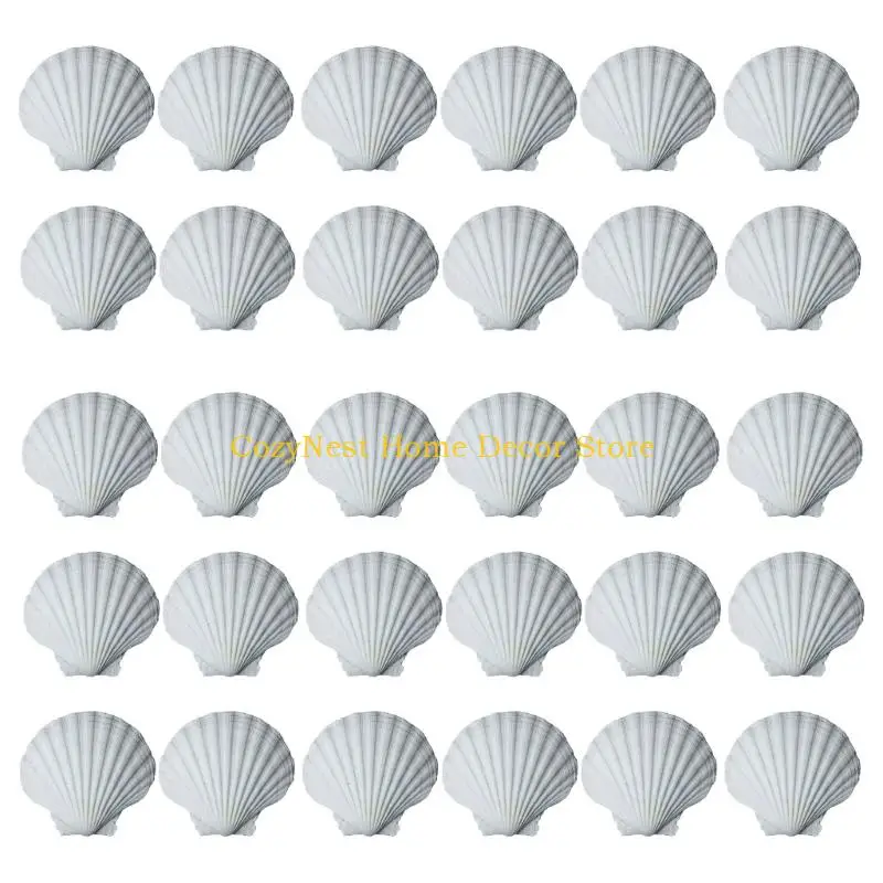92MF 30Pcs White Scalloped Sea Shells for Craft Enthusiasts Home and Wedding Decors