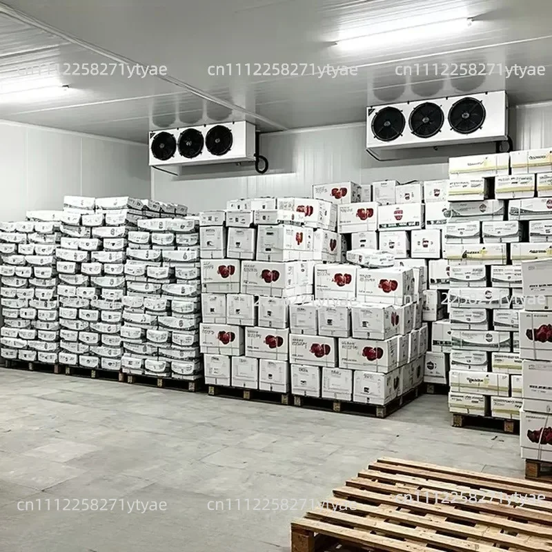-60 ° C To 20 ° C Commercial Walk-in Modular Freezer with PU Insulation for Meat and Seafood