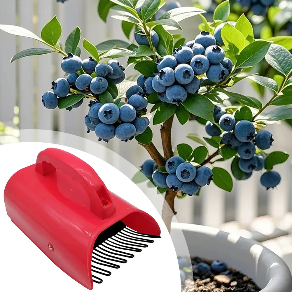 Berry Picker Comb Rake,Plastic Blueberry Picker Scoop Fruit Picker Tool,Blueberry Rake Scoop,Handheld Berry Harvester Tool