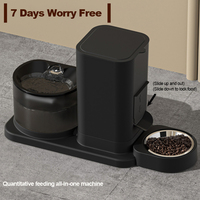 2L Cat Dog Water Dispenser Automatic All-in-One Feeding Pet Bowl Automatic Water Feeder Feeding 2-in-1