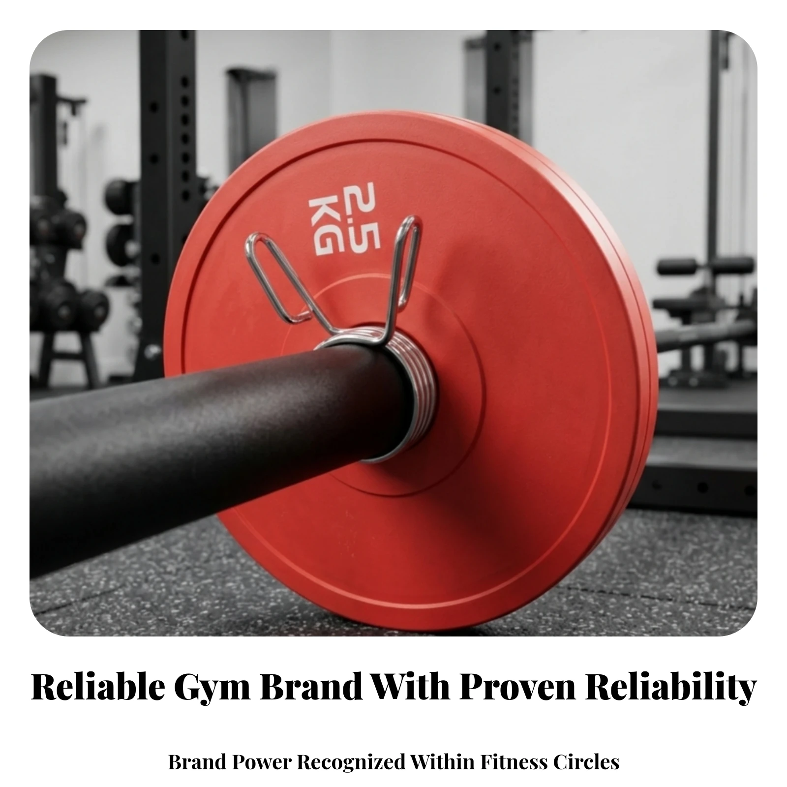 Fitness Gear Cylindrical Tooltool-Less Installation Squat Rack Weight Pin Metal Weight Plate Holder Pin - view 6