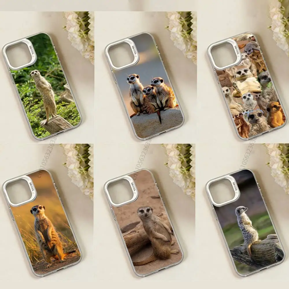 

Cute Baby Meerkat Phone Case for iPhone 15 16 Pro Max Air SE 11 13 Pro 14 Plus 12 11Pro 15Pro Max 16e Cover