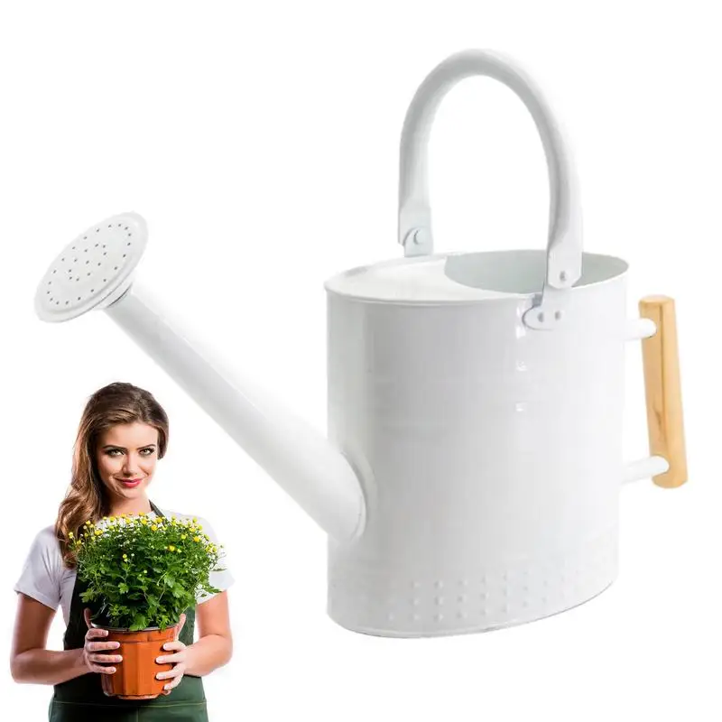 

Portable kettle With Wooden Handle Flower Watering Can Houseplants Watering Bottle pot For Succulents Planter Flower Bonsai