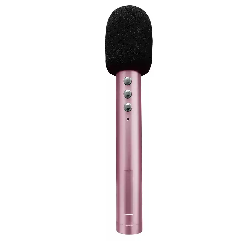 Mini Smart 2.4G Wireless Microphone Microphone Teaching Multimedia All-in-One Machine Teacher Class Conference Training