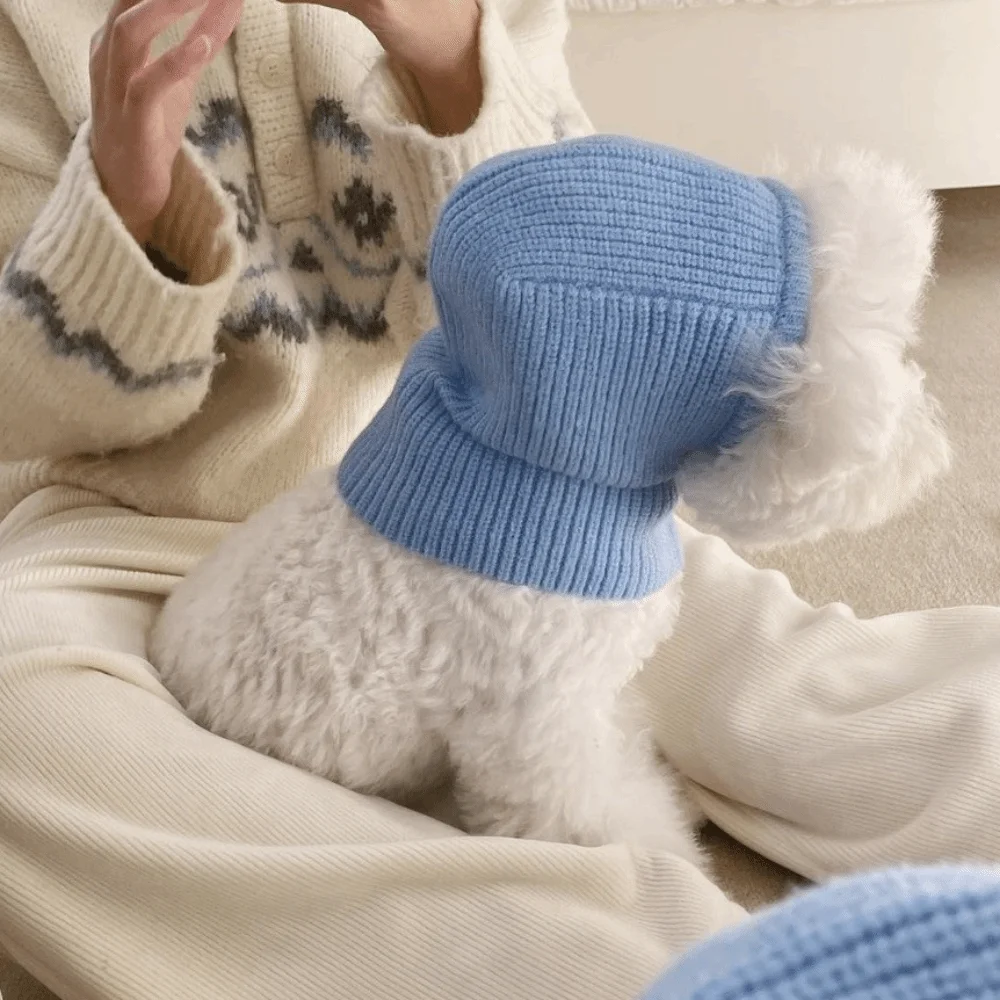 Cute Warm Dog Knitted Hat Fashion Soft Pet Hooded Scarf Solid Color Comfortable Cat Bear Hat Autumn Winter