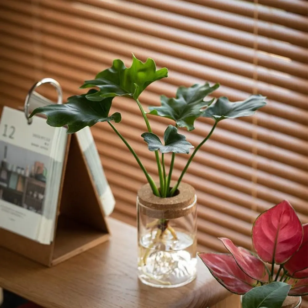 Flower Arrangement Bottle Glass Flower Vase Thickened Transparent Hydroponic Flower Holder Creative Mini Flower Pot Fish Tank