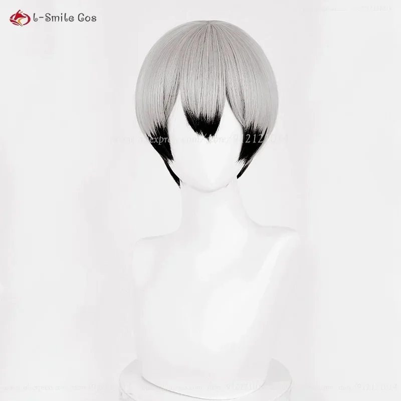 x;3,f6'b7\g, Shinsuke Kita 27cm Silver Gray Black Wigs Anime Cosplay Wig Heat Resistant Synthetic Ha5;h7'b8\f,4/ view 3