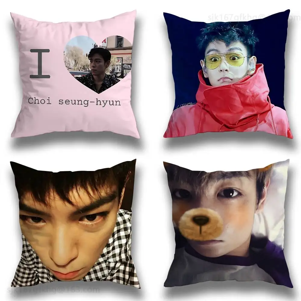 

Singer T-TOP Pillow Case Sofa Living Room Bedroom Headboard Backrest Cushion Square Cushion Nap Time