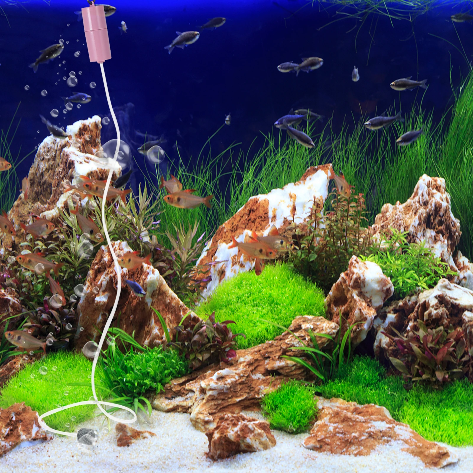 

Oxygen Pump Fish Tank Accessory Oxygenation Tool Plastic Air Aerator for Aquarium