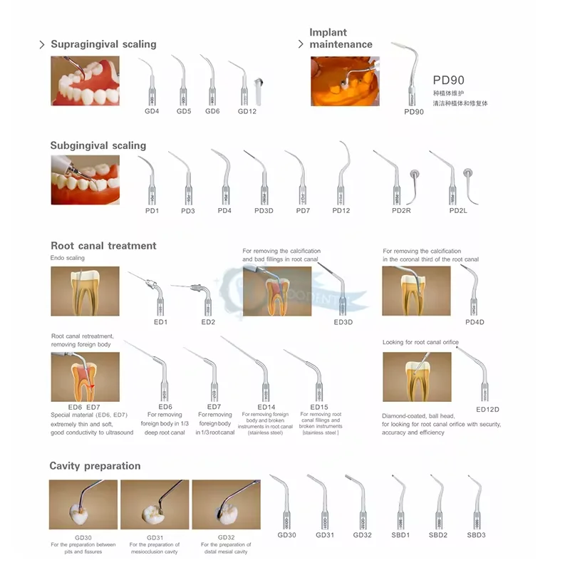 Dte-dental ultra-sônico scaler d5, equipamentos odontológicos, com rastreamento automático de freqüência, alta eficiência, ferramentas dentistas