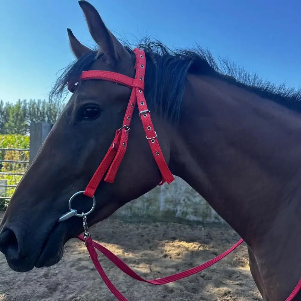 Thickened Horse Halters Comfortable Adjustable Strap Horse Neck Stretcher Heavy Duty Durable Horse Bridle Training Rope