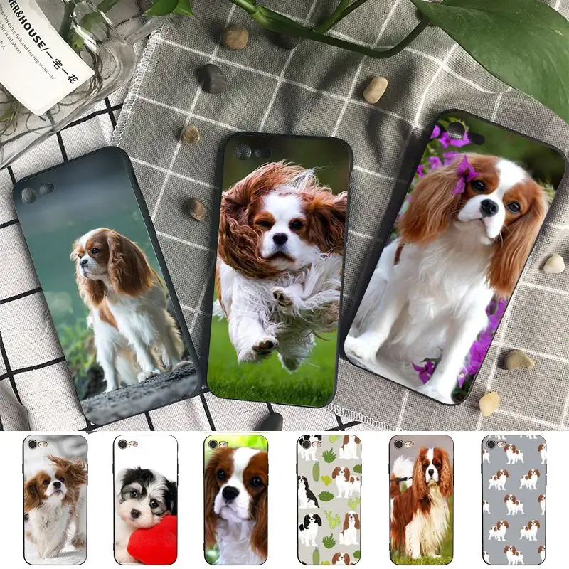 Cavalier King Charles soft phone cover for iPhone 15Pro 16pro 13PRO max 7 8 XR 14plus 11pro 12pro max 13mini SE 2020 cases coque