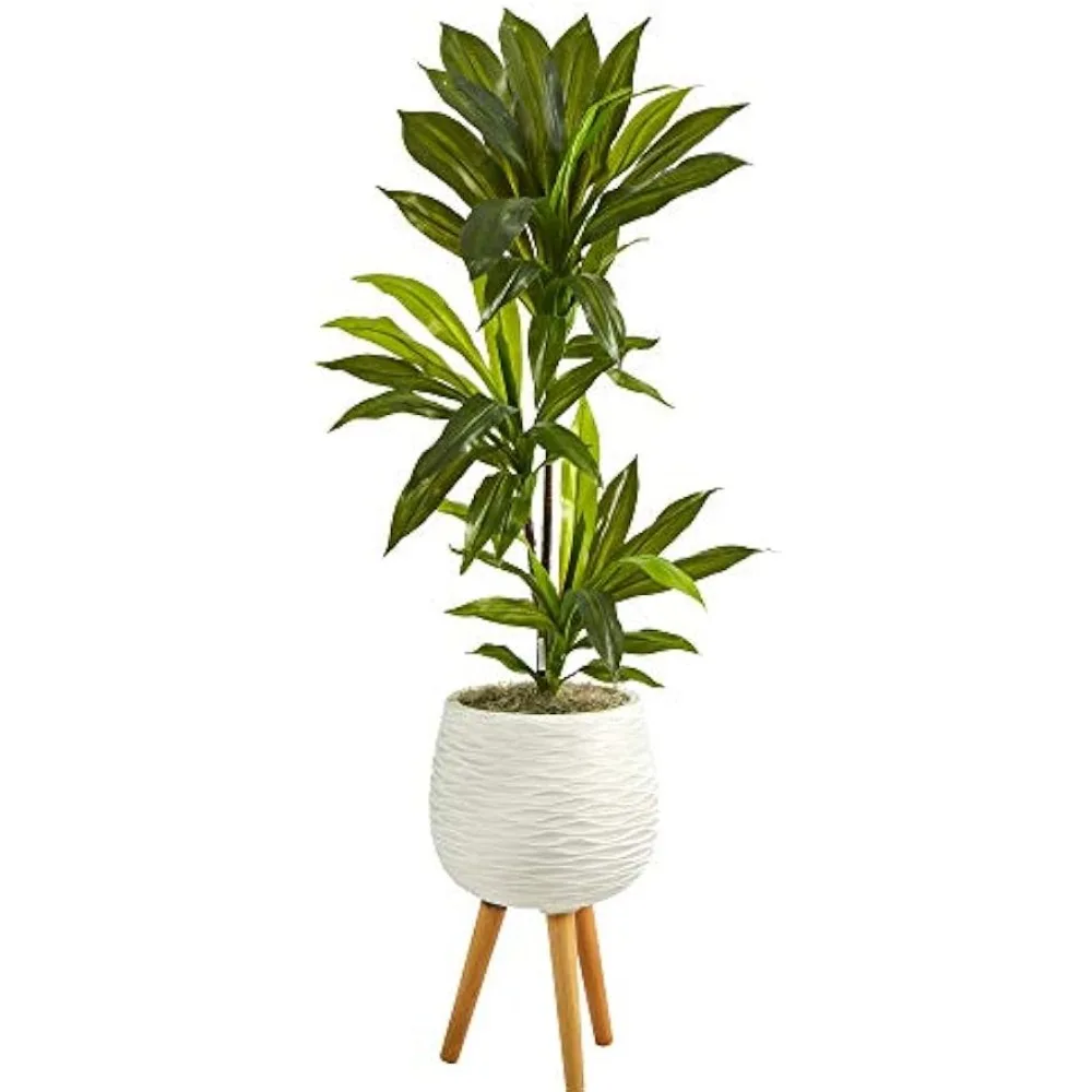 

Almost Natural 46 Inches. Dragon Blood Tree Artificial Plant in White Flower Pot with Bracket (True Touch)