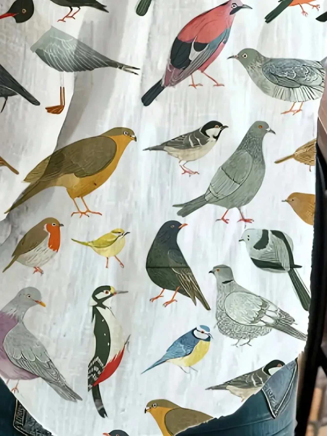 

Women's Casual Multi-Color Bird Print Long Sleeve Stand Collar Blouse Spring Summer