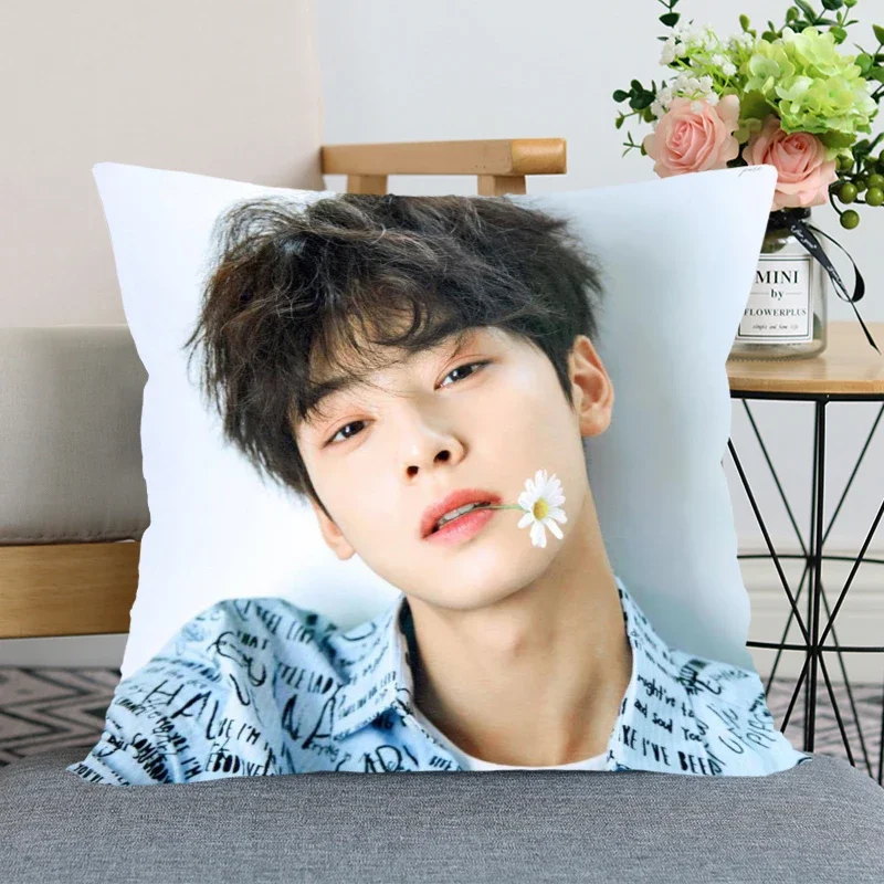 KPOP Cha EunWoo Pillow Case For Home Decorative Pillows Cover Invisible Zippered Throw PillowCases 35x35cm 0303