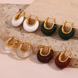 Multiple Colors New Year Jewellery Acrylic White Clear Green Burgundy Small Round Fat Stainless Steel Hoop Earrings For Women