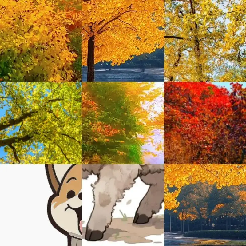 

4Pin PWM Cooling Fan Household Computer Safety Parts 5V 3Pin ARGB RGB Controller for COOLMOON PC Case Chassis