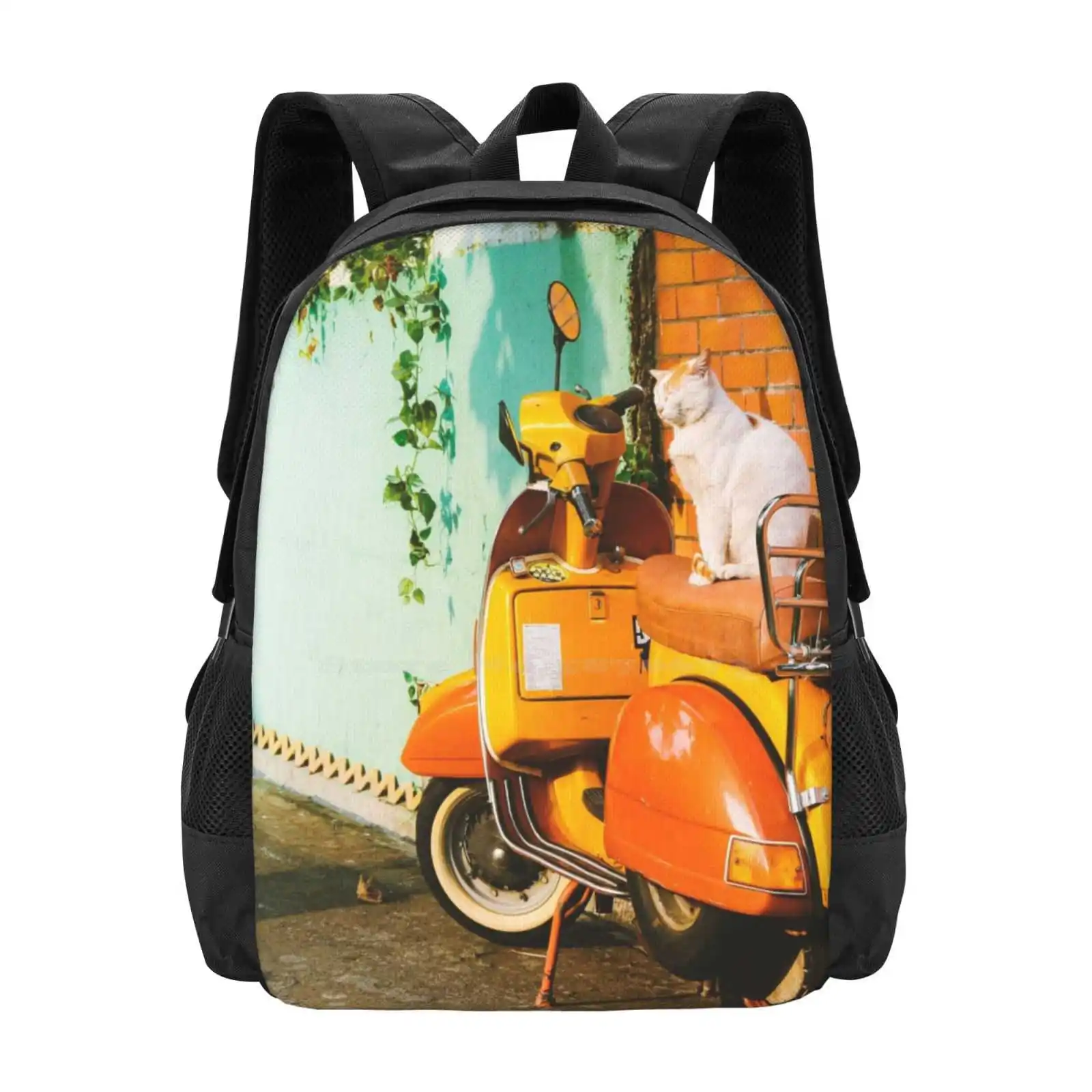 Cat On Bike Hot Sale Schoolbag Backpack Fashion Bags Cat Bike Afternoon Evening Sit Happy Relax Orange Wall Blue Auto Motor