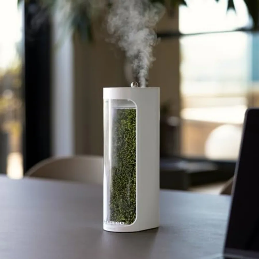 

Moss Air Living Moss Terrarium Humidifier Soothing Mist Fountain and Ambient Light Zen Desk Decor Aesthetic Room Decor Portable