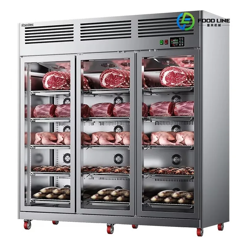 FL Electric Field Defrosting Cabinet Fresh Defrosting Cabinet Multifunctional Electric Field Electrostatic Defrosting Customized