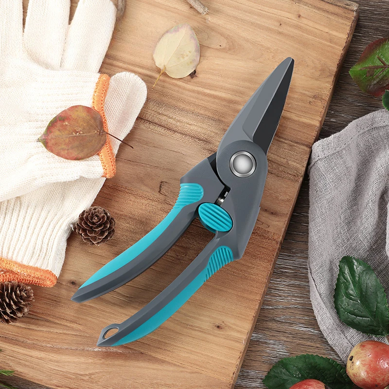 

Rare fruit shears, bonsai flower branches, grape scissors, floral arrangement, fruit tree garden