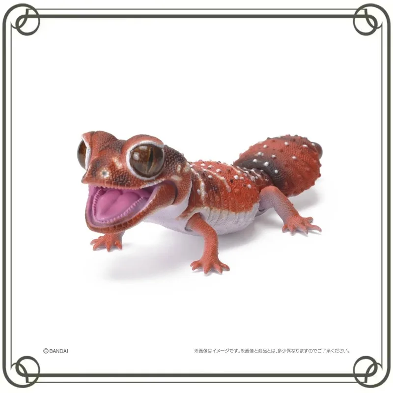 BANDAI Biology Illustrated Guide Leopard Geckos Collection Ornament Keepsake Children's Day Gifts Action Figures Model Kids Toy