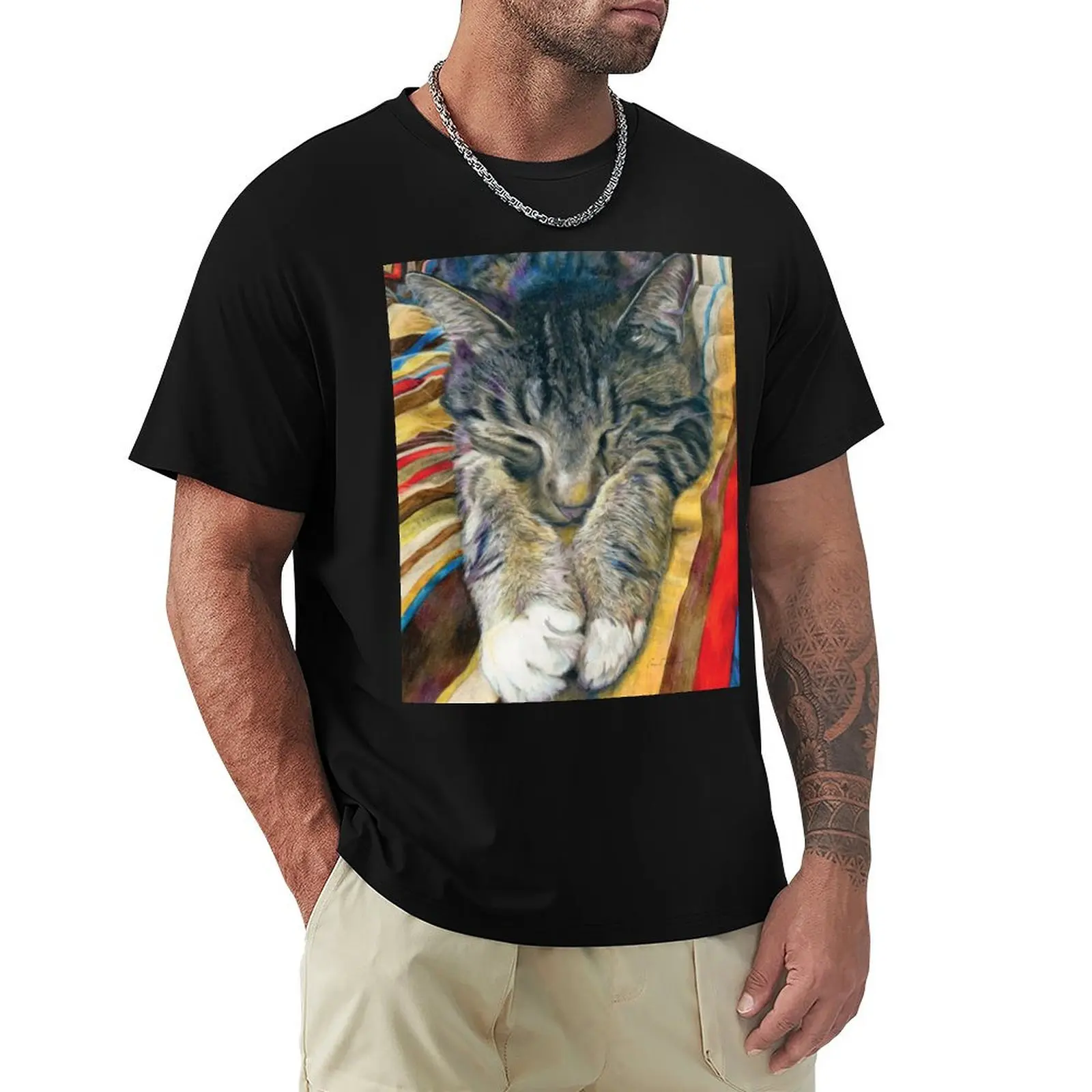 

Sleeping Tabby Cat on Colorful Stripes T-Shirt Plus Size Quick Dry Sports Tee