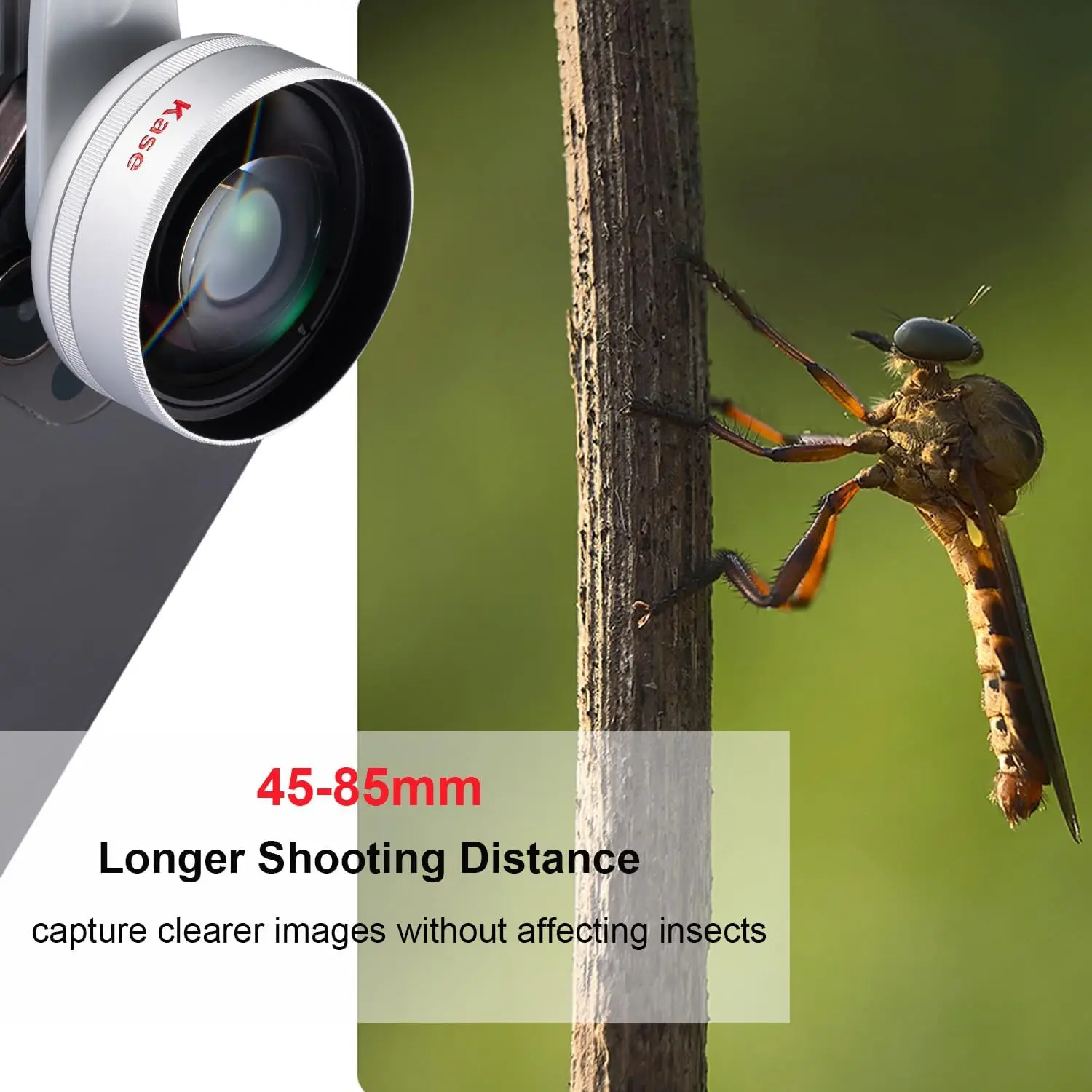 Kase Upgraded HD Master Macro Lens Plus Multi Anti-reflection Coating M17 Mount Compatible Phone Case For Product Macro Live