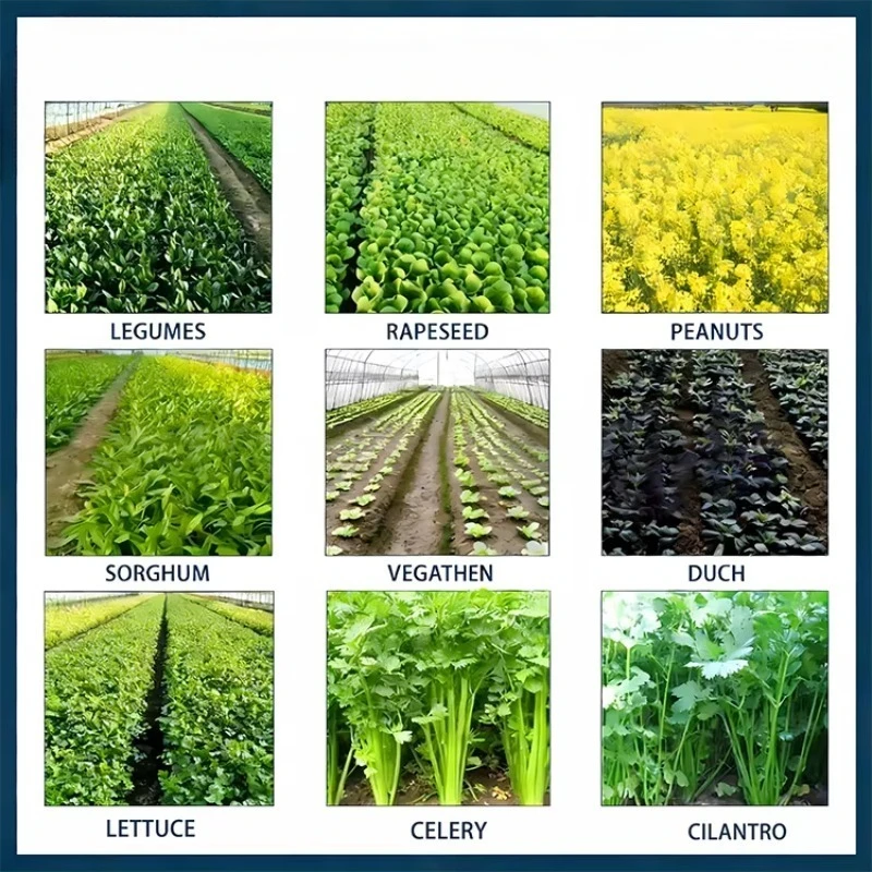Greenhouse Indoor Vegetable Nursery Multi-Function Planter Seeder  Engine Adjustable Row Precision Spot Seeding High
