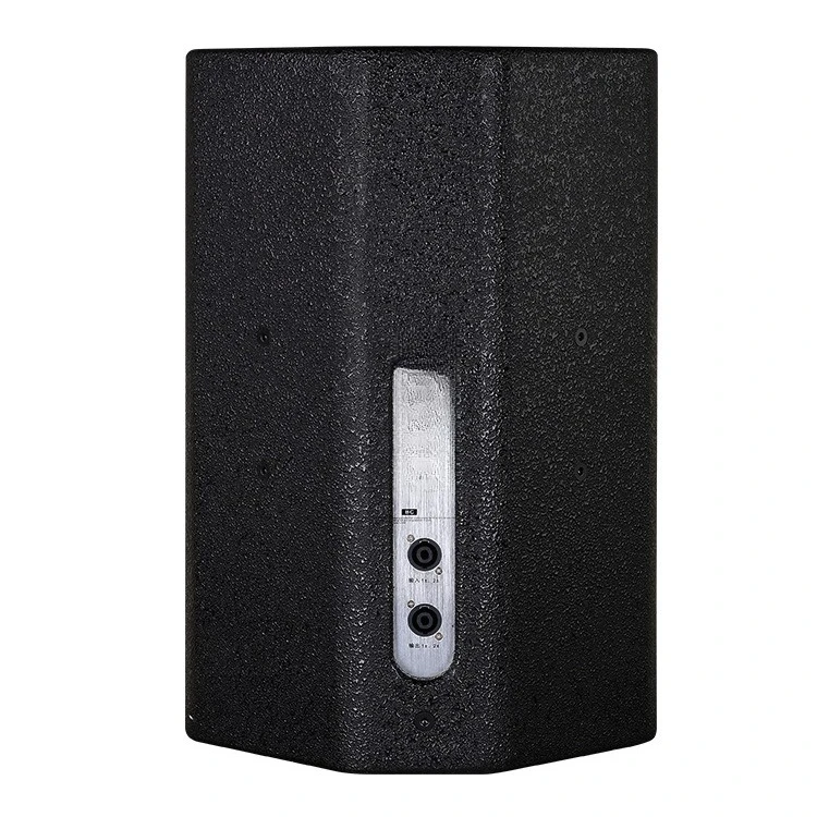 Night audio DJ audio professional speakers 10 inches