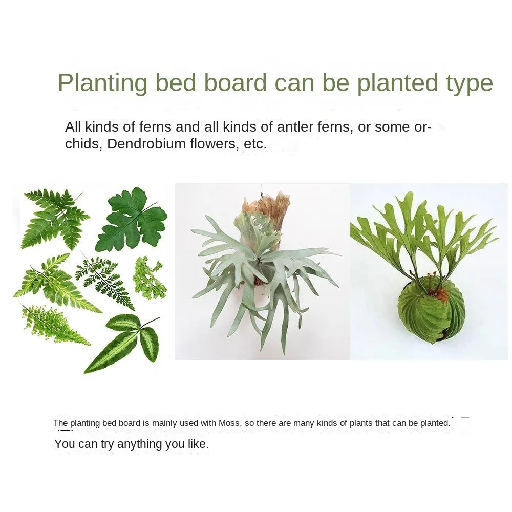 Black Thickened Staghorn Fern Board Orchid Fern Dendrobium Planting Board Plant Bed Board Plastic Gardening Hanging Board
