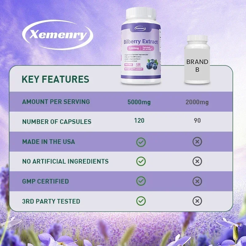 Bilberry Extract - Eye Health Supplement, Relieves Fatigue, Improve Eye Edema, for Vision Health - Image 6