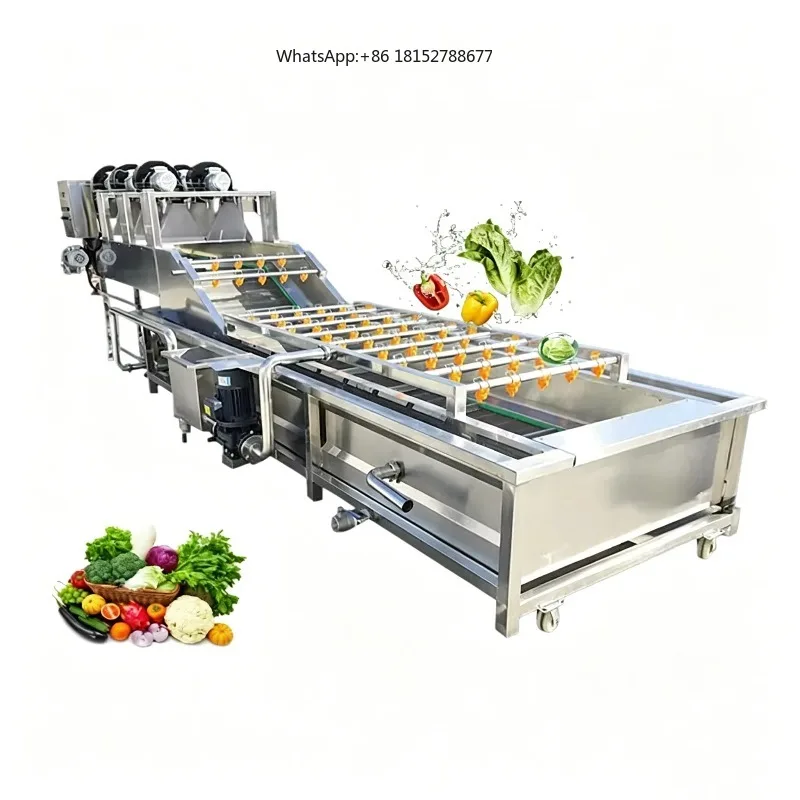 Leafy Vegetable Washer and Dryer Machine Fruit Wash and Sorting Machine Washing the Vegetables