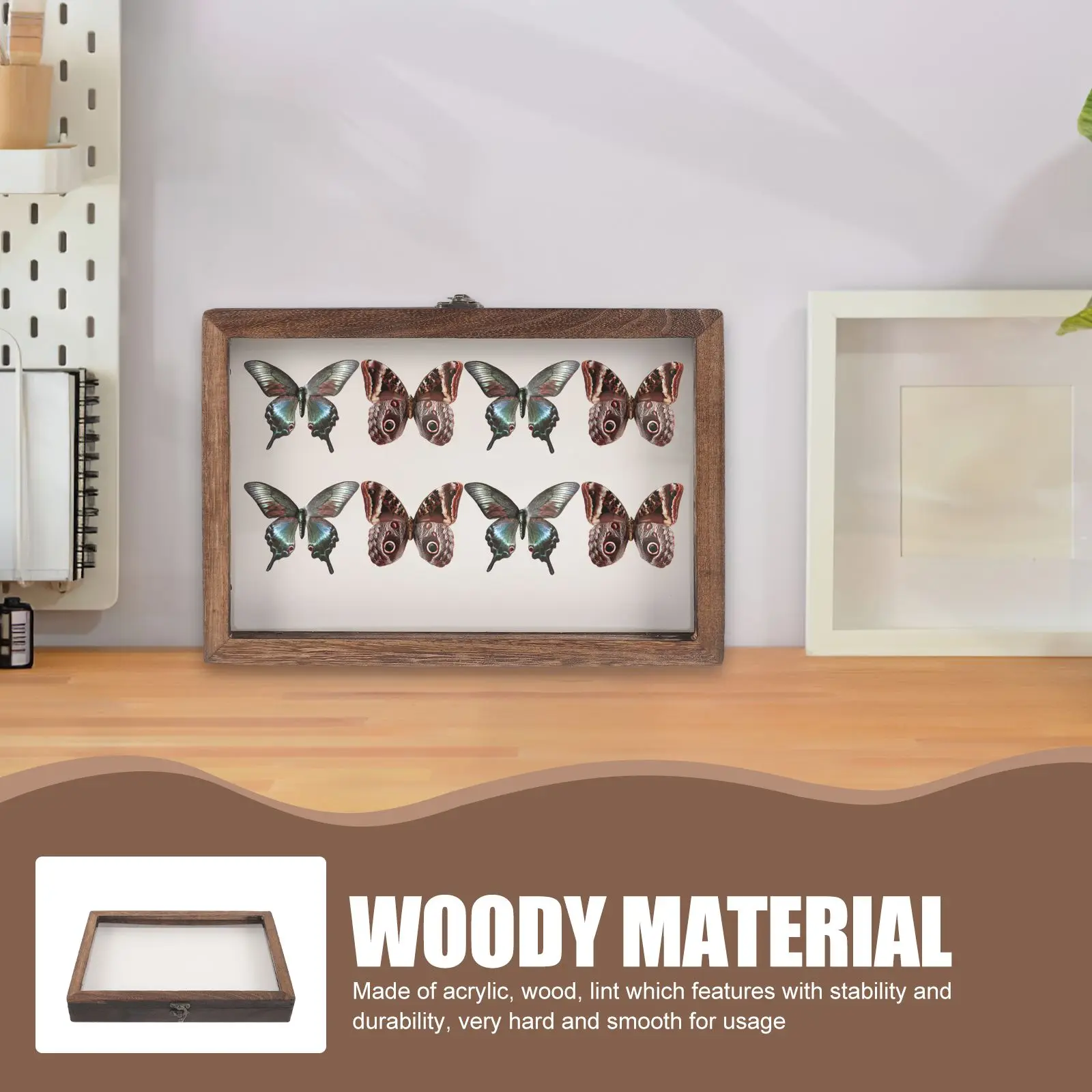 Raupen Insekten Display Box Fall Insekten Nadel Pad Kaffee Flanell Entomologie Kind