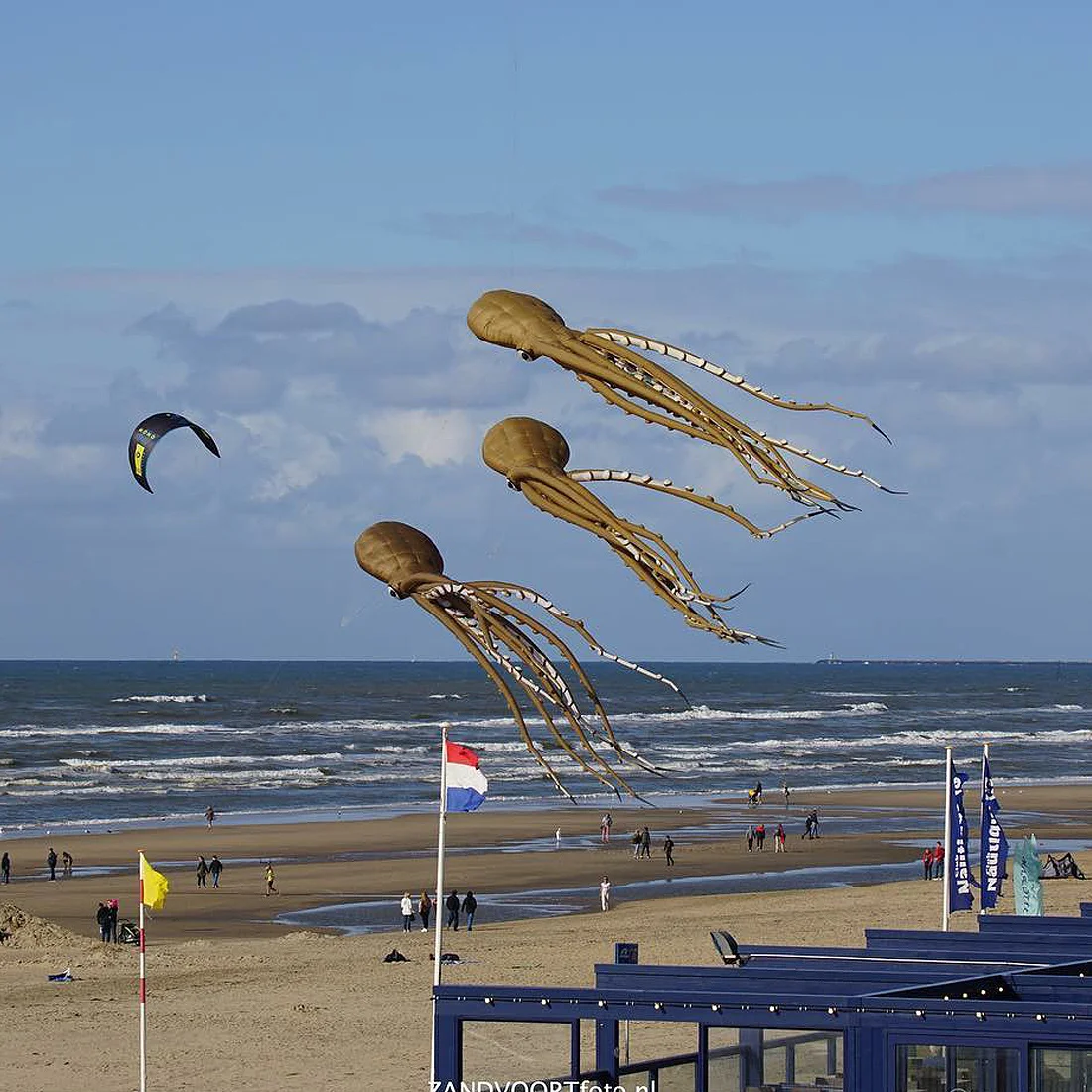 9KM 12m Octopus KiteLine Latawiec do prania Miękki nadmuchiwany nylon 30D Ripstop z torbą na festiwal latawców (Akceptuj hurtowo)