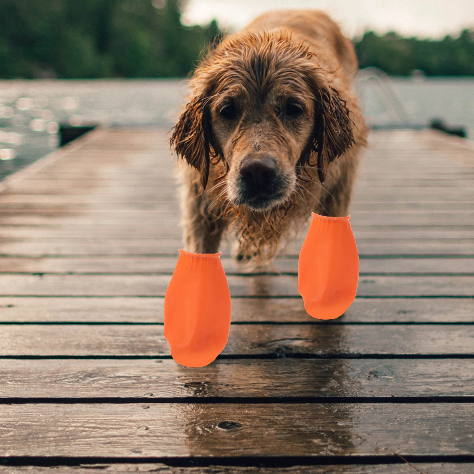 

4pcs Waterproof Rain Shoes Non-slip Shoe Cover Outdoor Footwear Durable Shoe Cover for Pet Cat Dog (Orange Size )