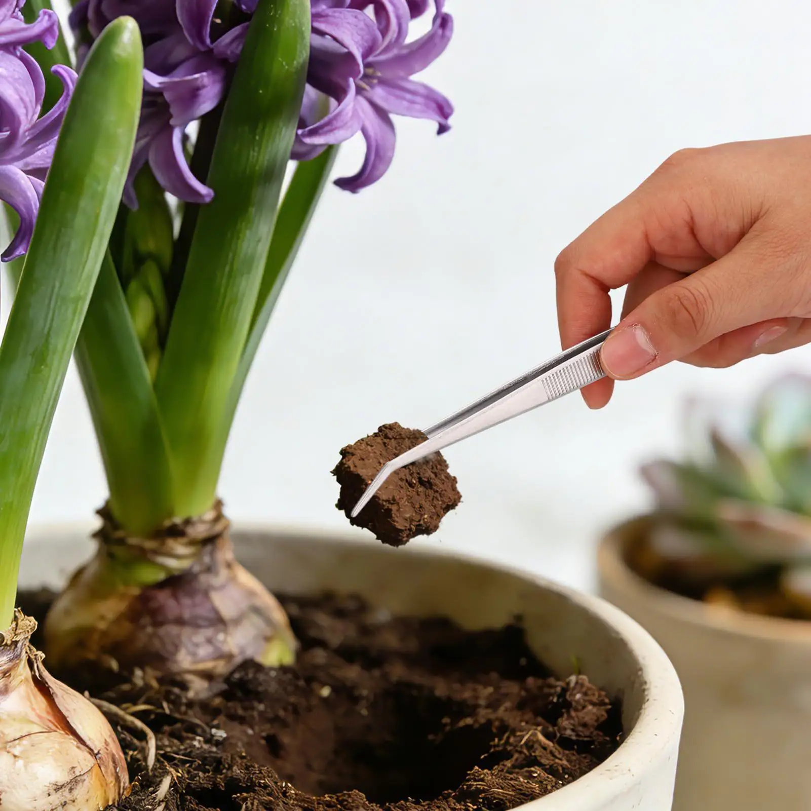 Gardening Tweezers Stainless Steel Planting Clamps Heavy Duty Bonsai Tweezers For flower Home Yard Garden Outdoor