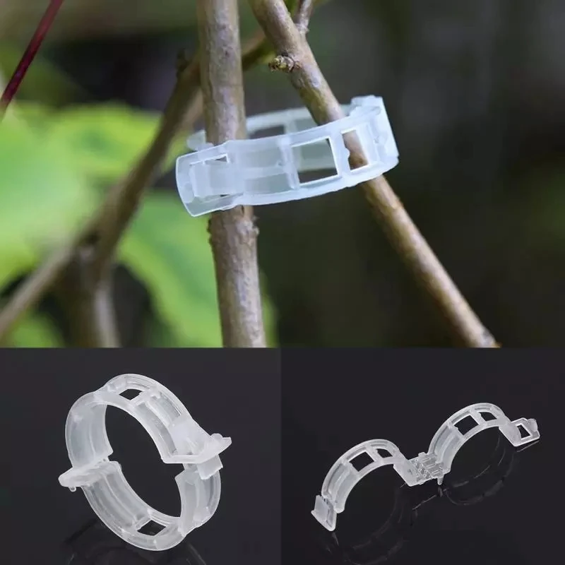 

Plastic Plant Support Clips 100Pcs Vine Tomato Stem Vegetable Fixing Clip Garden Greenhouse Accessories 30mm Plant Clips