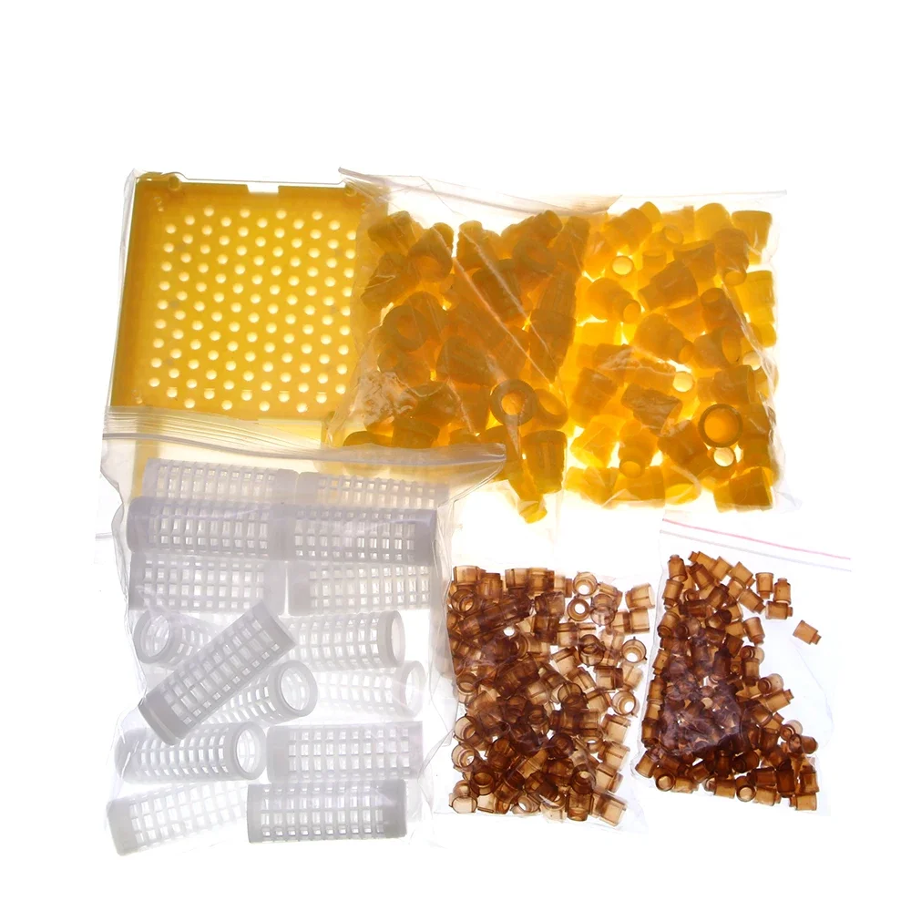Germany Jenter Queen Rearing Kit, Nicot Bee Queens Rearing System, Queen Bee Beekeeping Breeding, Equipment, Beekeeper Supplies