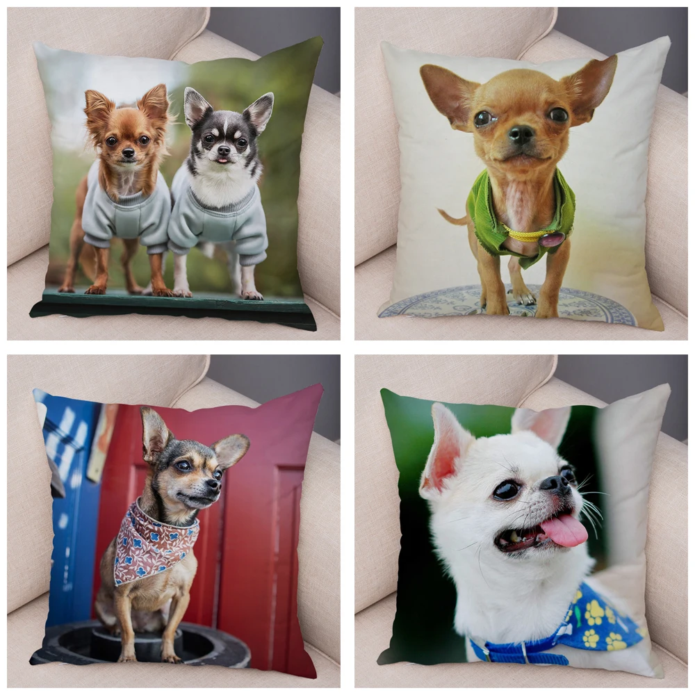 Cushion Cover Car Sofa Home Pillowcase Cute Pet Animal  Decoration Puppy Chihuahua